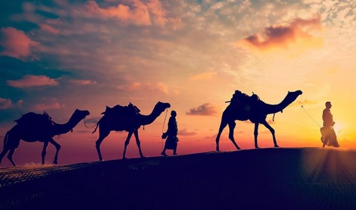 Jaipur tour